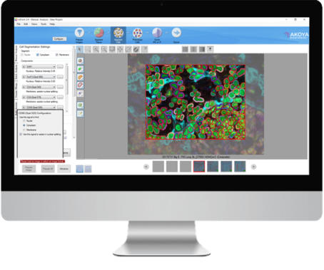 inForm automated image analysis software