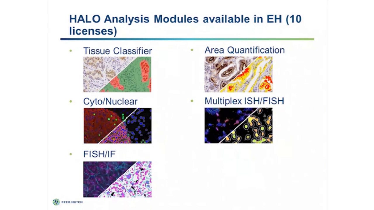 video-implementing-multiplexed-spatial-analysis-of-the-tumor-microenvironment-a-core-lab-case-study