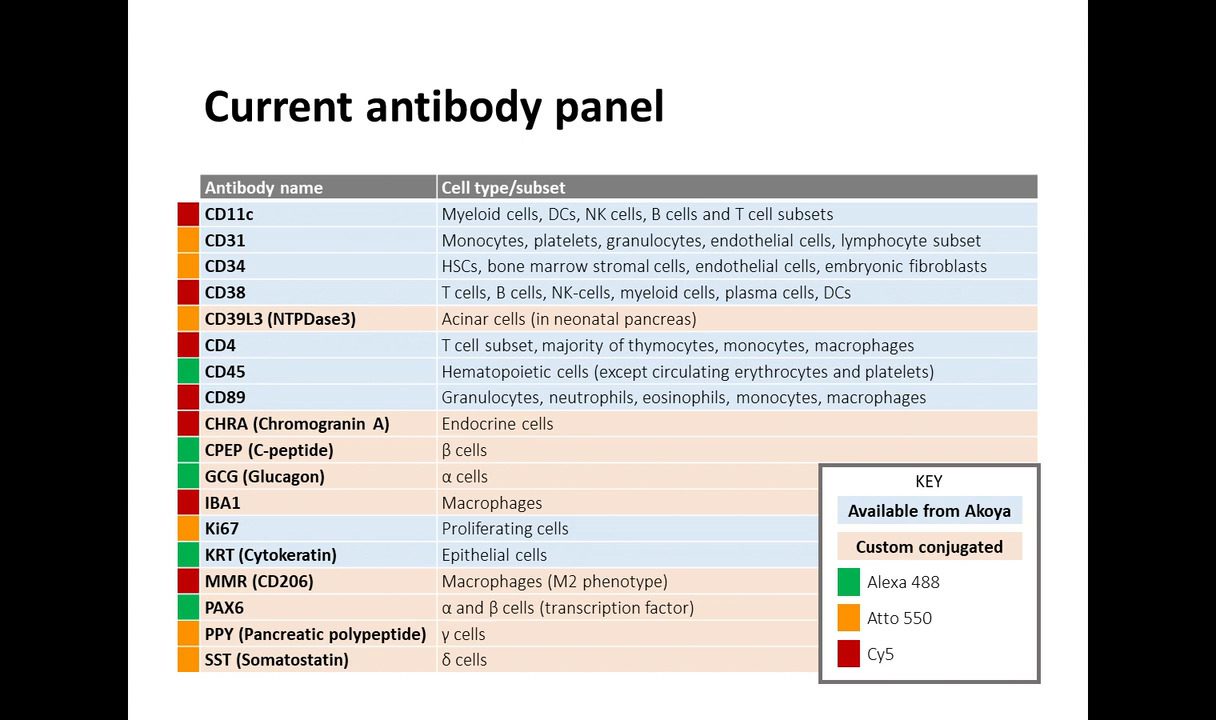 video-validating-multiplexed-antibody-panels-for-pancreatic-research-applications