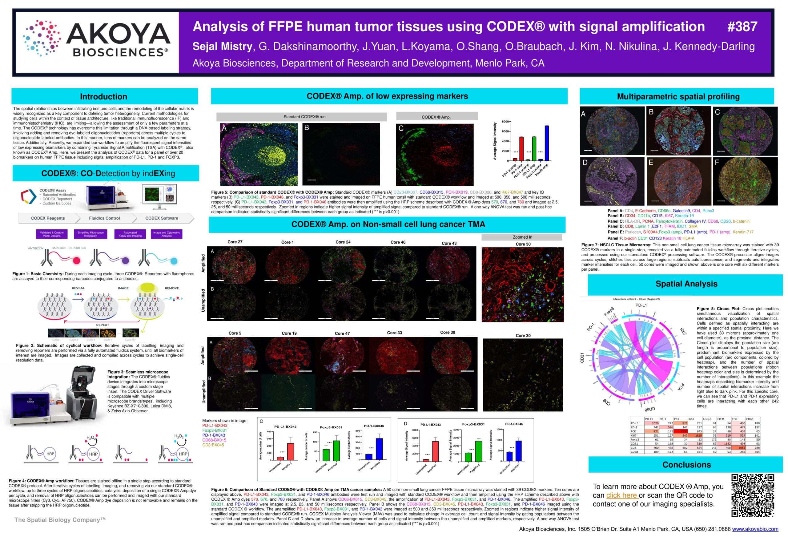 Poster: Analysis of FFPE human tumor tissues using CODEX® with signal amplification