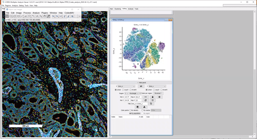 T-SNE plot generated in MAV from multiplex immunofluorescence breast cancer data
