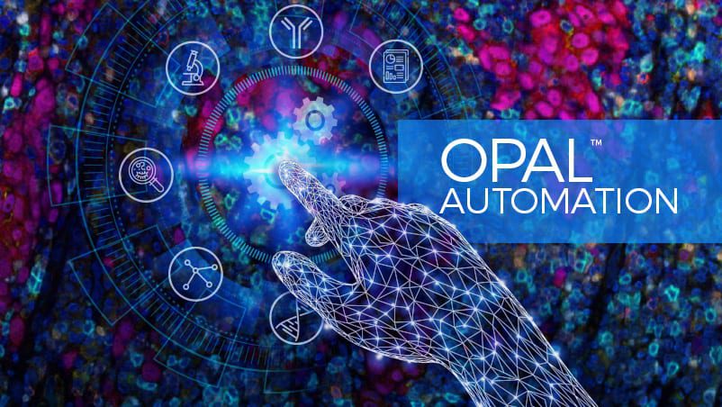 Opal Automation
