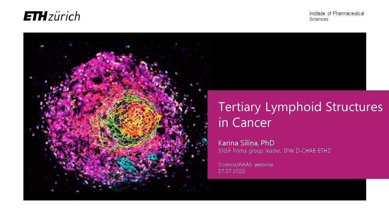 video-investigating-tertiary-lymphoid-structures-in-solid-tumors