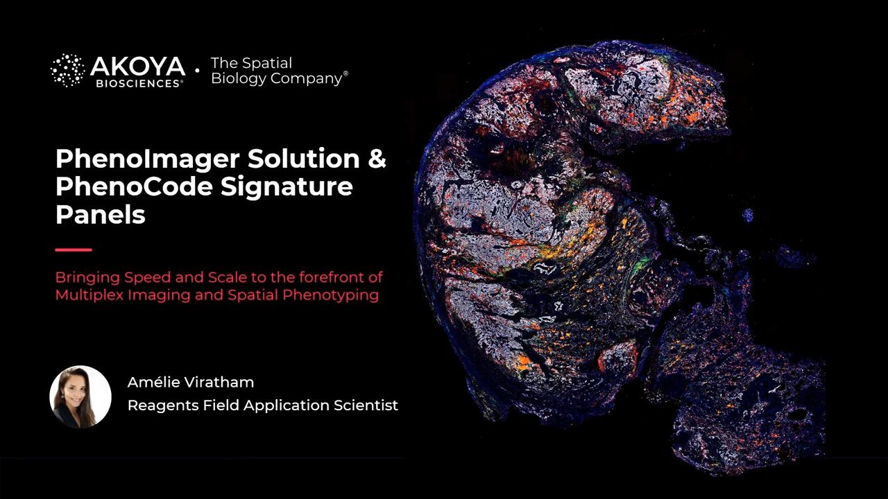 video-phenoimager-solutions-bringing-speed-and-scale-to-the-forefront-of-multiplex-imaging-and-spatial-phenotyping