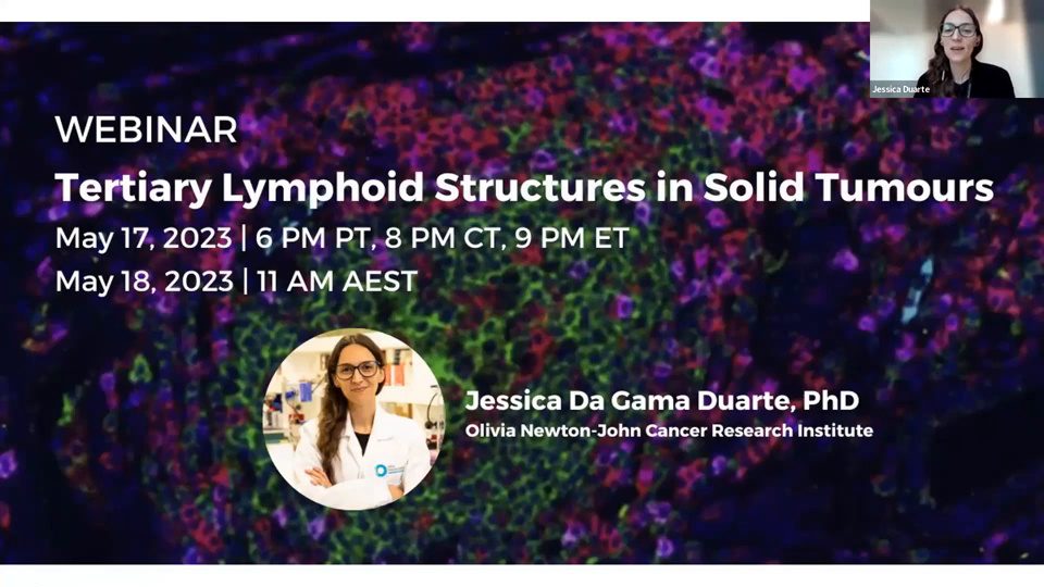 video-tertiary-lymphoid-structures-in-solid-tumours