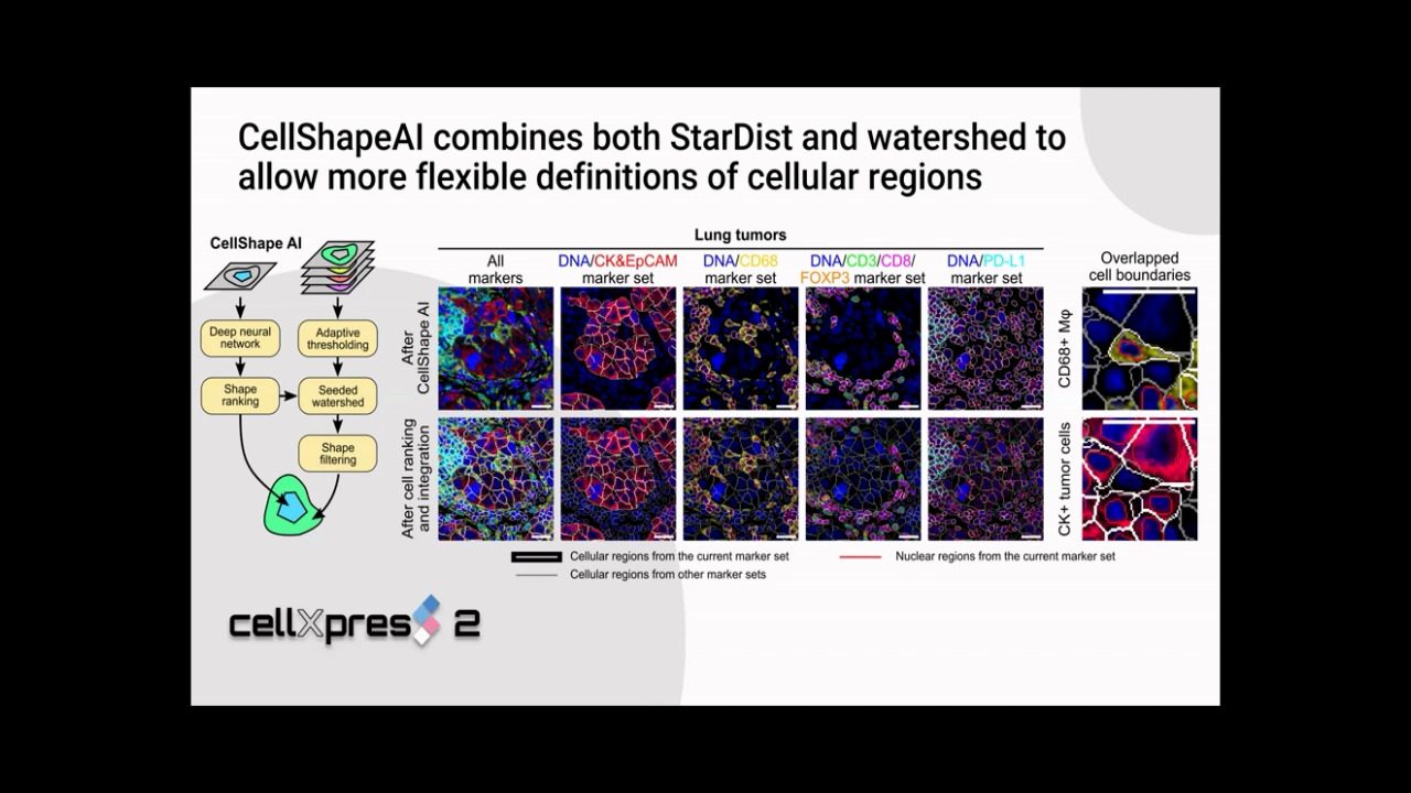 Video-APAC-spatial-2023-image-processing-and-management-for-reproducible-multiplex-ihc-analysis-and-immune-checkpoint-scoring