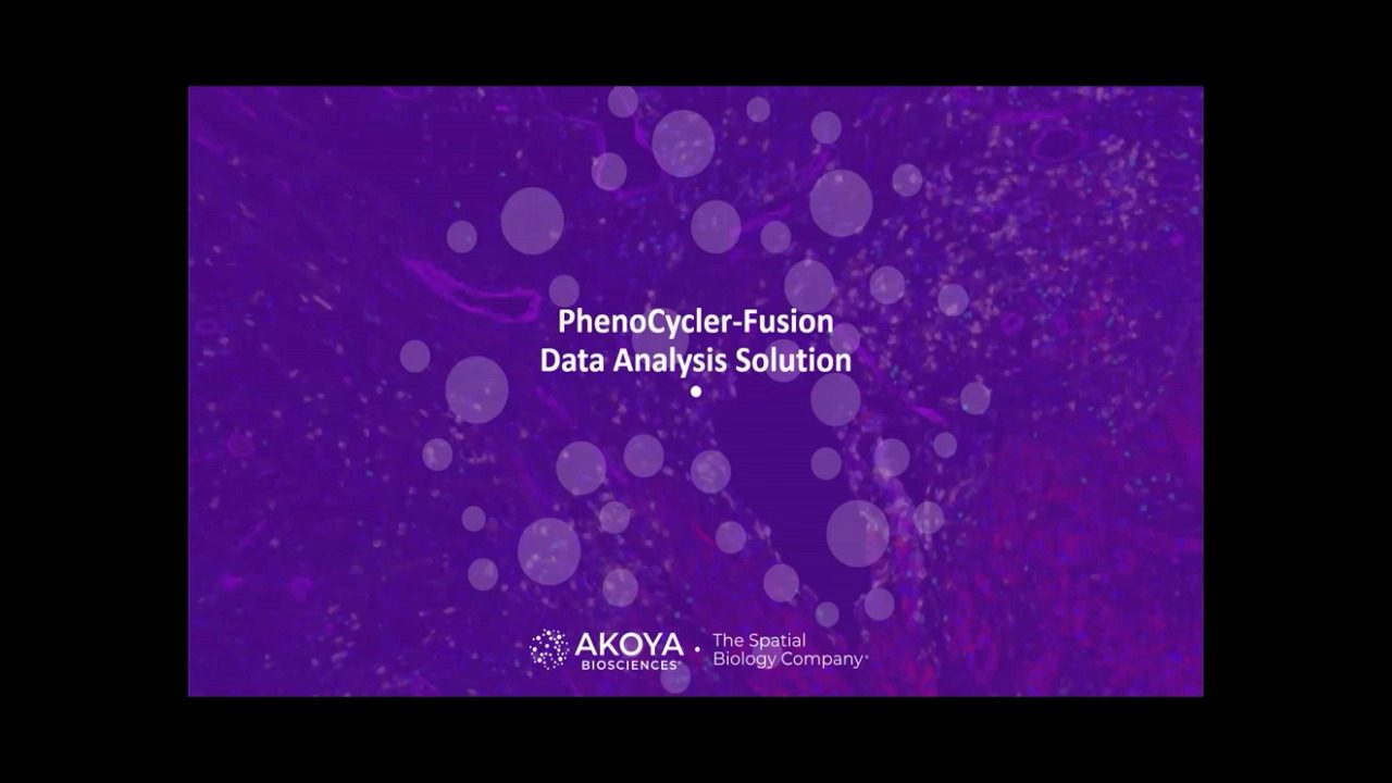 Video-APAC-visualization-and-interpretation-of-the-single-cell-spatial-data