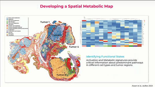 Developing a spatial metabolic map