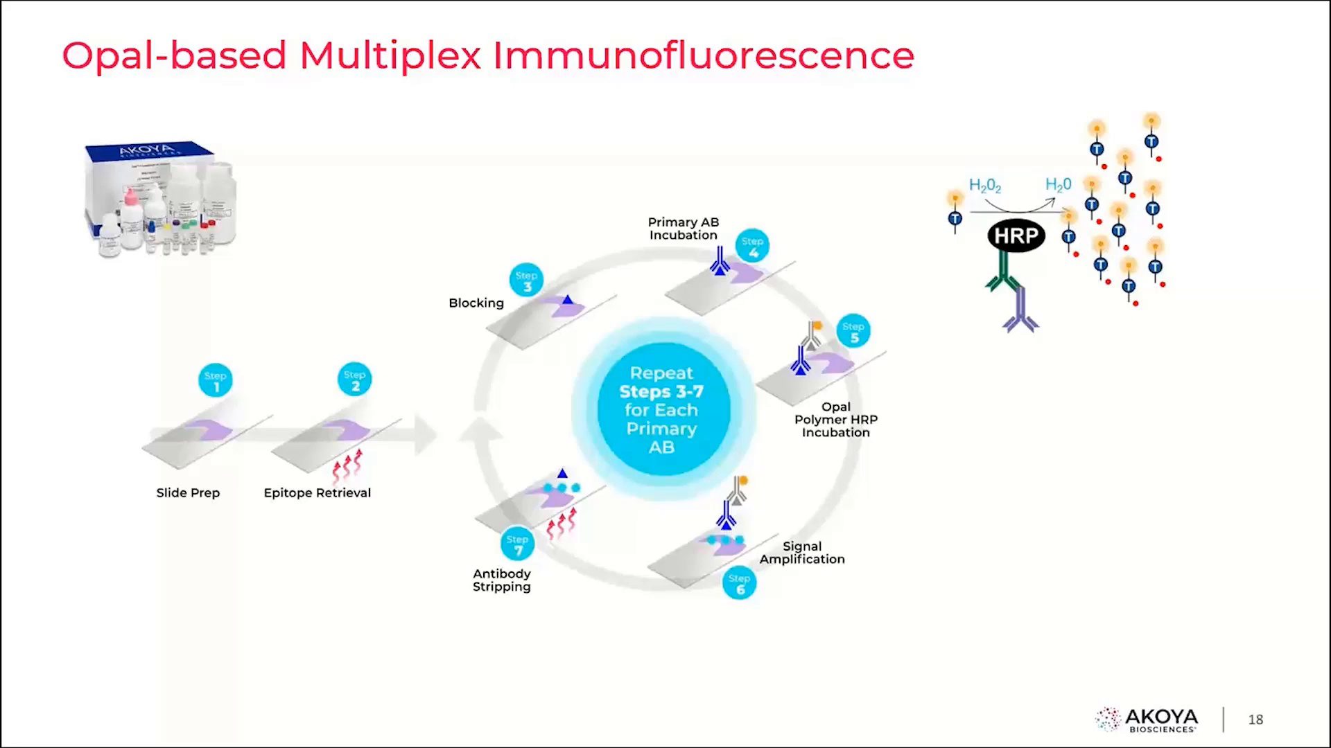 video-transforming-biomarker-development-for-immunotherapy-through-single-cell-spatial-phenotyping