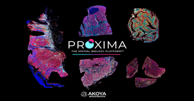 discover-Proxima